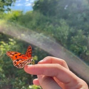 Meet your Posher, Addy